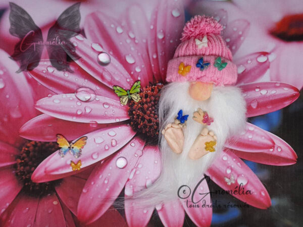 Butterfly Gnome Papillon Rose Gnomélia v2 Butterfly