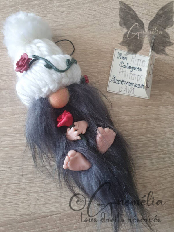 Roméo Gnome Rose Saint Valentin 1 Gnomélia v2 Roméo