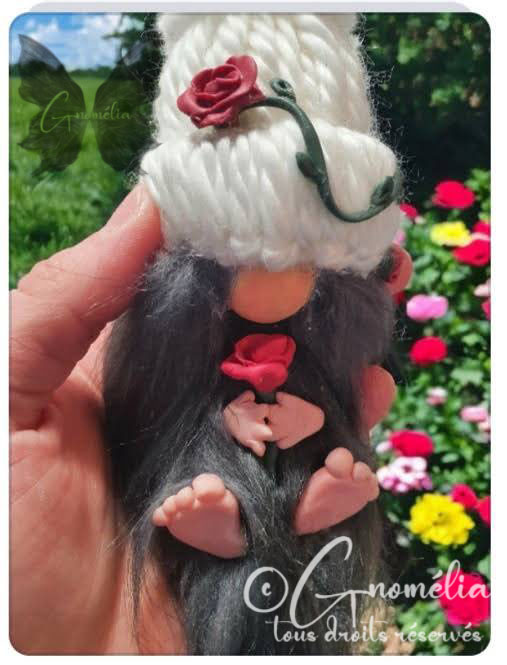 Roméo Gnome Rose Saint Valentin 2 Gnomélia v2 Roméo