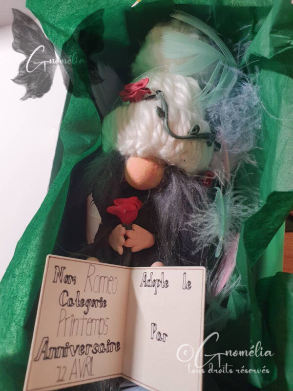 Roméo Gnome Rose Saint Valentin 4 Gnomélia v2 Roméo