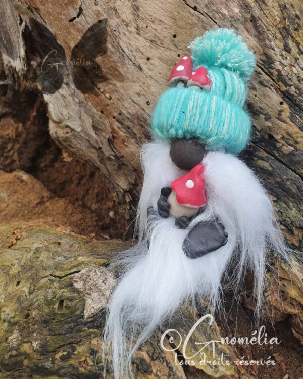 Tod Gnome Conteur Champignon 1 Gnomélia v2 Tod