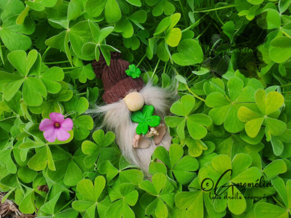 Gnome Saint Patrick 5 Gnomélia v2 Patrick