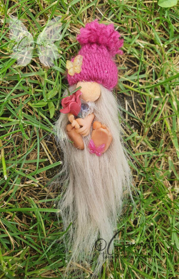 Rosas Mini's Gnome Roses Papillons Gnomélia dans l'herbe