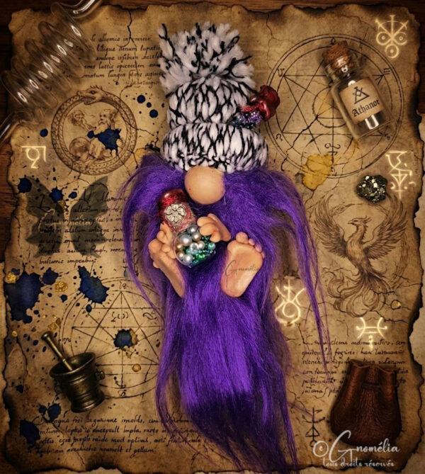 Zinzolin Gnome Alchimiste avec sa barbe violette et ses fioles dans ses mains Gnomélia