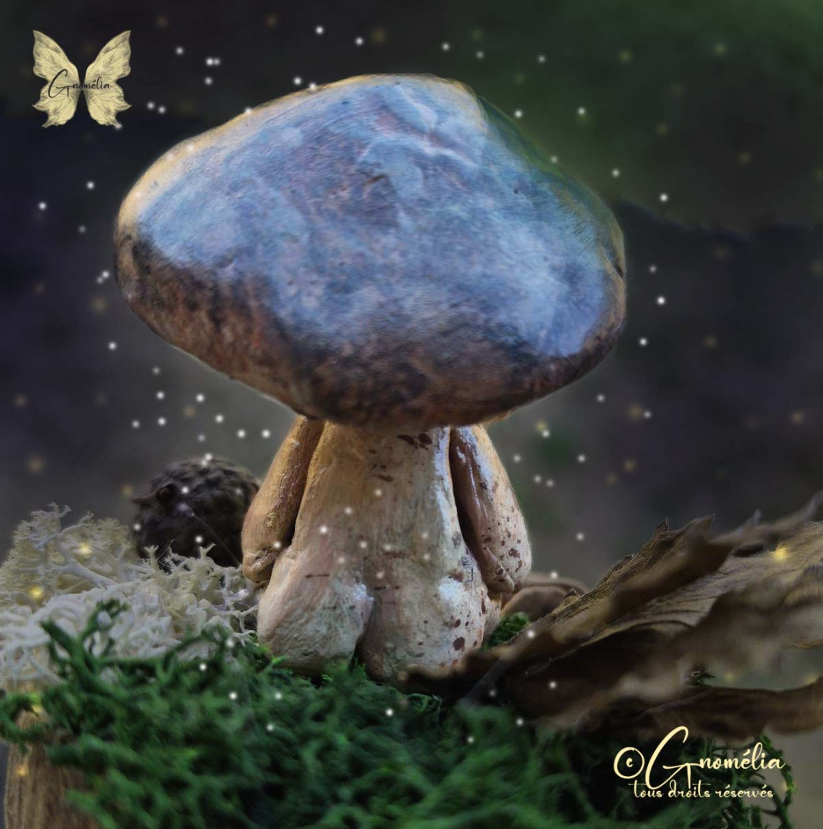 Champifesse 1 Champignon LEs GArdiens des Bois Gnomélia v2