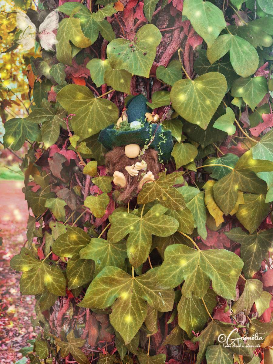Gnome des Bois du Clan des Gardiens des Bois Gnomélia