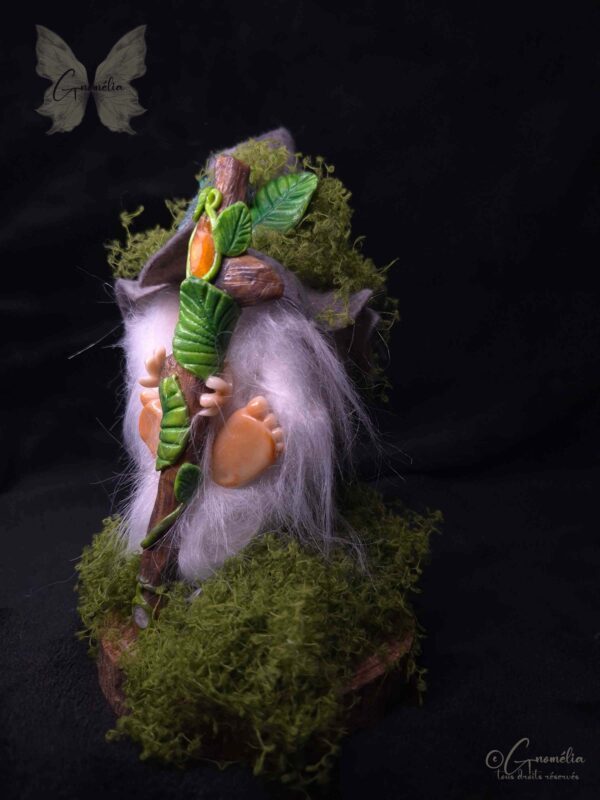 Albéric Gardien des Bois Conseil des Anciens Gnome Gnomélia