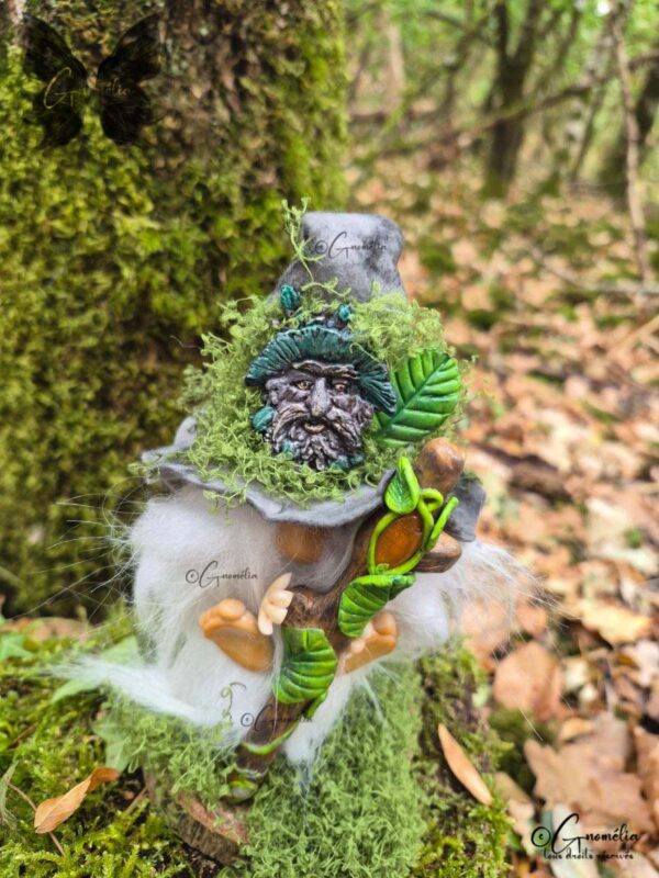 Albéric Gnome Conseil des Anciens Gardiens des Bois Gnomélia