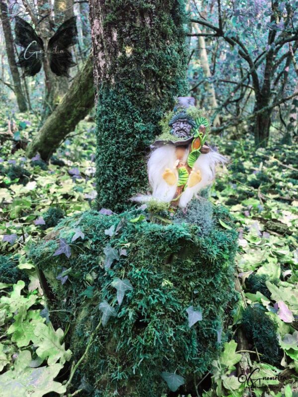 Albéric Gnome Conseil des Anciens Gardiens des Bois Gnomélia