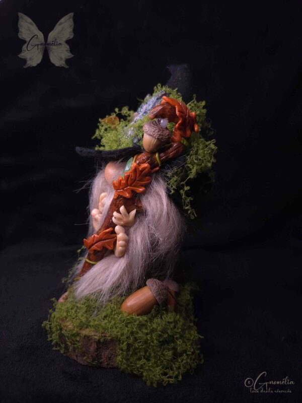 Derval Gardien des Bois Conseil des Anciens Gnome Gnomélia