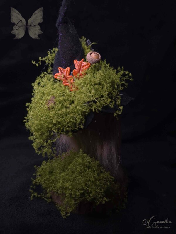 Derval Gardien des Bois Conseil des Anciens Gnome Gnomélia