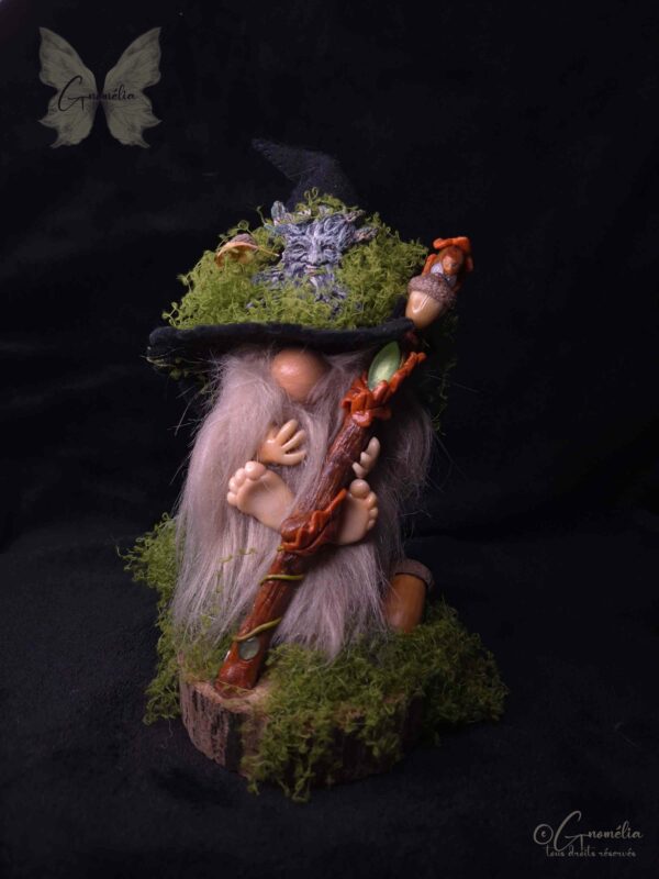 Derval Gardien des Bois Conseil des Anciens Gnome Gnomélia