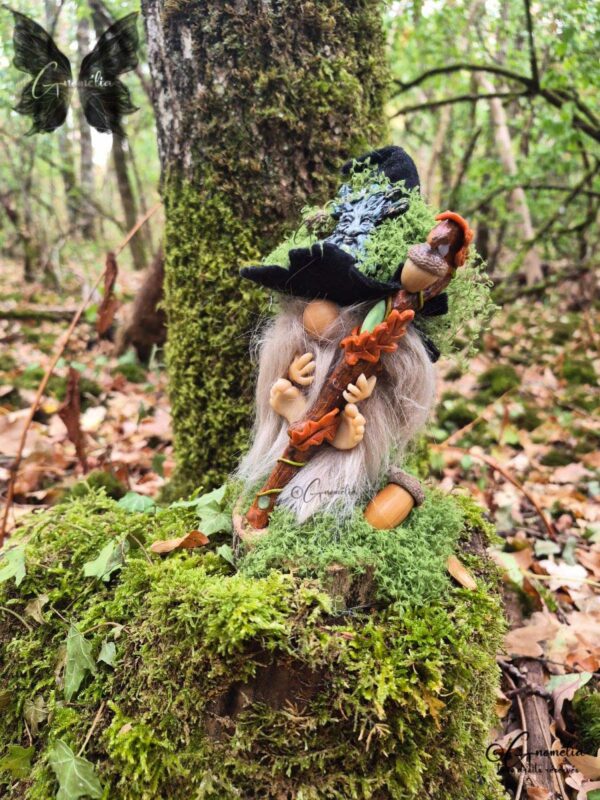 Derval Gnome Conseil des Anciens Les Gardiens des Bois Gnomélia