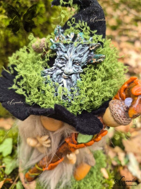 Derval Gnome Conseil des Anciens Les Gardiens des Bois Gnomélia