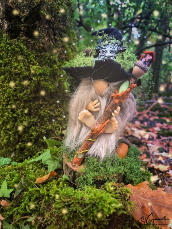 Derval Gnome Conseil des Anciens Les Gardiens des Bois Gnomélia