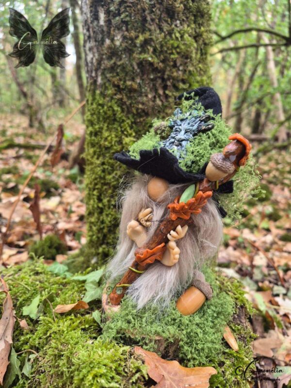 Derval Gnome Conseil des Anciens Les Gardiens des Bois Gnomélia