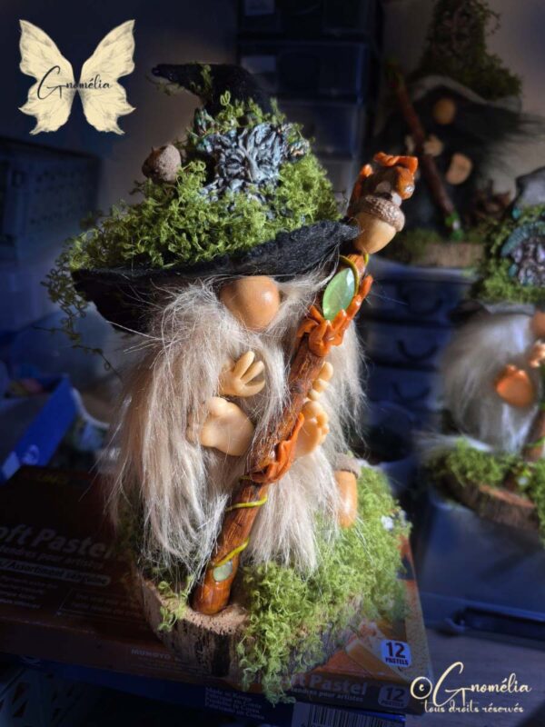Derval Gnome Conseil des Anciens Les Gardiens des Bois Gnomélia