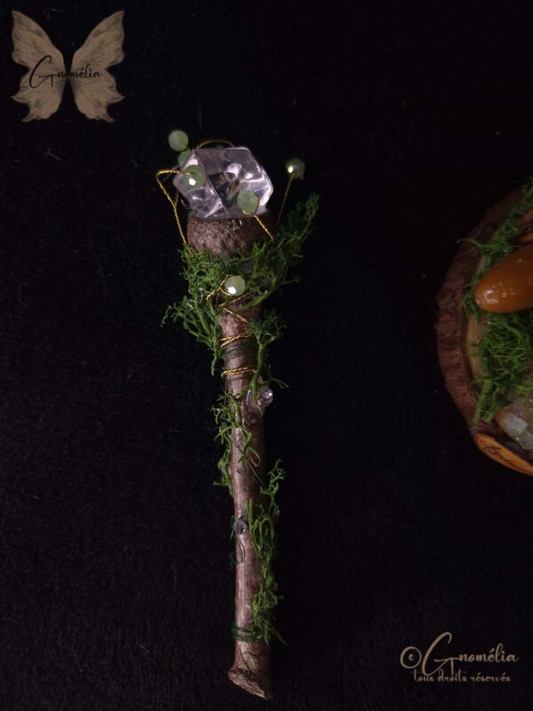 Fée Amérinda Reine Gardien des Bois Gnomélia