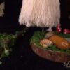Fée Amérinda Reine Gardien des Bois Gnomélia