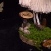 Fée Stérée Champignon Gardien des Bois Gnomélia