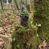 Tarsac Gnome Conseil des Anciens Les Gardiens des Bois Gnomélia